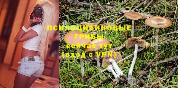шишки Армянск