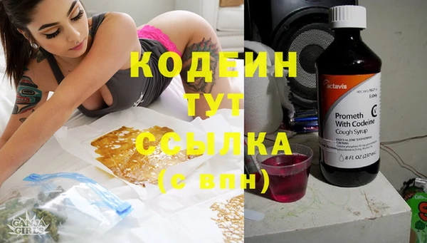 прущая мука Арсеньев