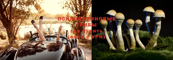 прущая мука Арсеньев