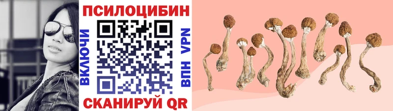 что такое наркотик  OMG маркетплейс  Псилоцибиновые грибы Magic Shrooms  Нягань 